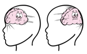 A brain moving round inside a head.