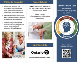 Senior Brain Link Brochure